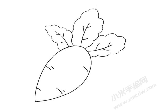 蘿卜簡(jiǎn)筆畫繪制步驟09.jpg