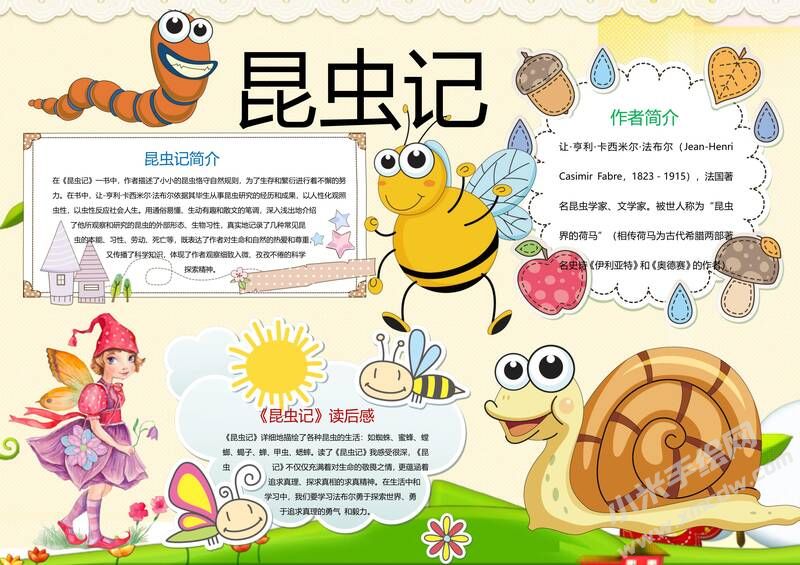 昆蟲記手抄報(bào)模板05.jpg
