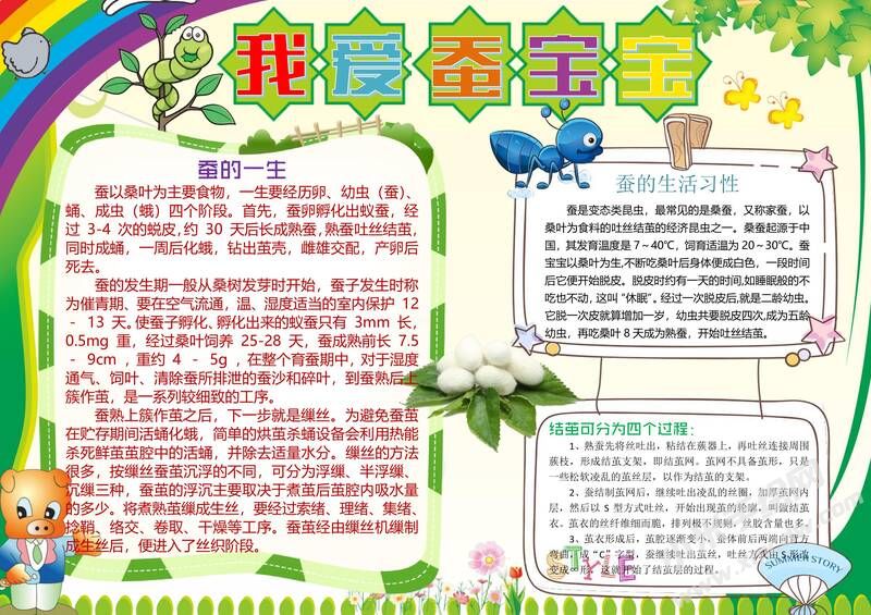我愛(ài)蠶寶寶手抄報(bào)模板02.jpg