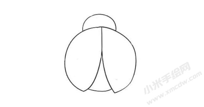 簡(jiǎn)筆畫(huà)七星瓢蟲(chóng)畫(huà)法步驟03.jpg