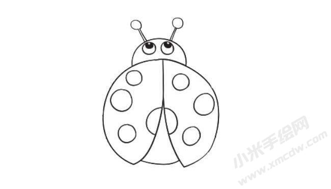 簡(jiǎn)筆畫(huà)七星瓢蟲(chóng)畫(huà)法步驟07.jpg