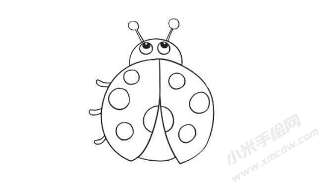 簡(jiǎn)筆畫(huà)七星瓢蟲(chóng)畫(huà)法步驟08.jpg