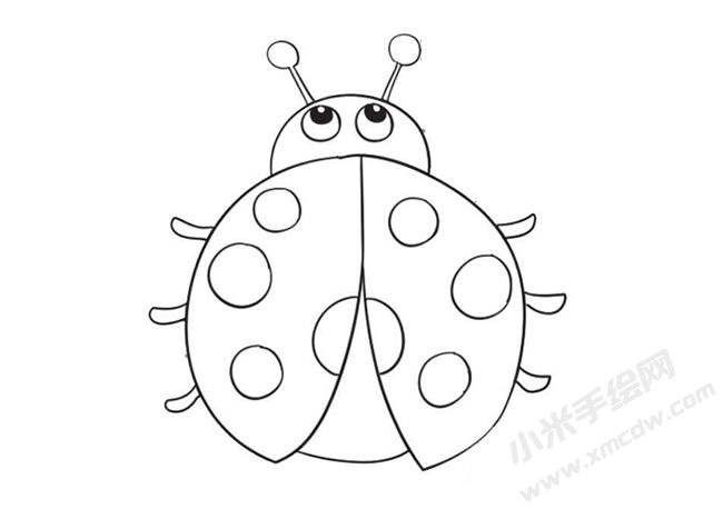 簡(jiǎn)筆畫(huà)七星瓢蟲(chóng)畫(huà)法步驟09.jpg