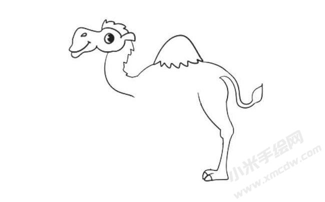駱駝簡(jiǎn)筆畫法步驟06.jpg