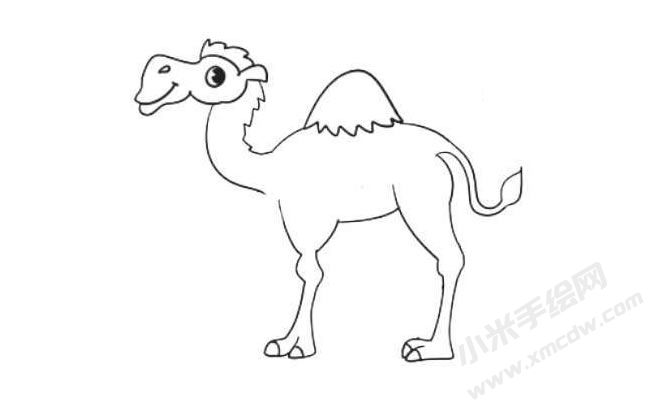 駱駝簡(jiǎn)筆畫法步驟07.jpg