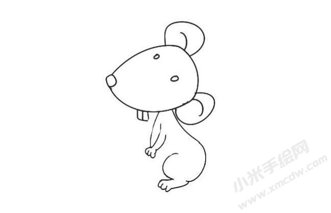 倉(cāng)鼠簡(jiǎn)筆畫法步驟07.jpg