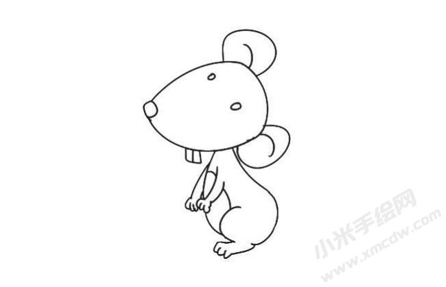 倉(cāng)鼠簡(jiǎn)筆畫法步驟08.jpg
