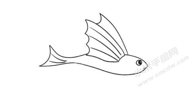 飛魚簡筆畫繪制步驟08.jpg