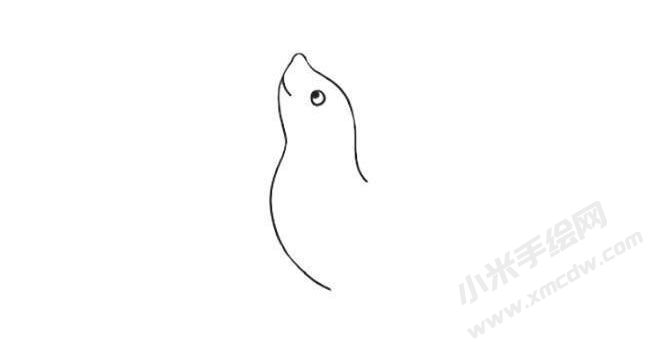 海豹簡(jiǎn)筆畫繪制步驟03.jpg