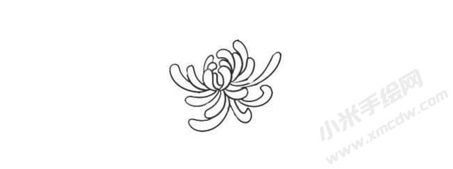 簡(jiǎn)筆畫菊花畫法步驟02.jpg