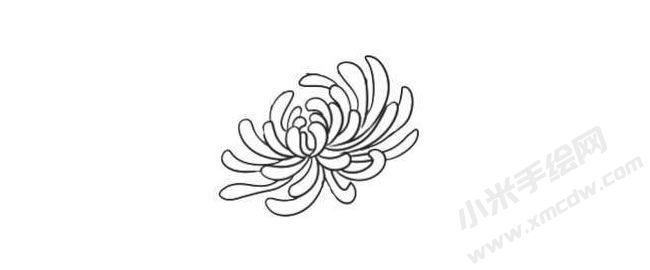 簡(jiǎn)筆畫菊花畫法步驟03.jpg