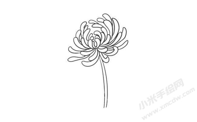 簡(jiǎn)筆畫菊花畫法步驟05.jpg