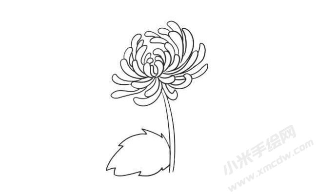 簡(jiǎn)筆畫菊花畫法步驟06.jpg