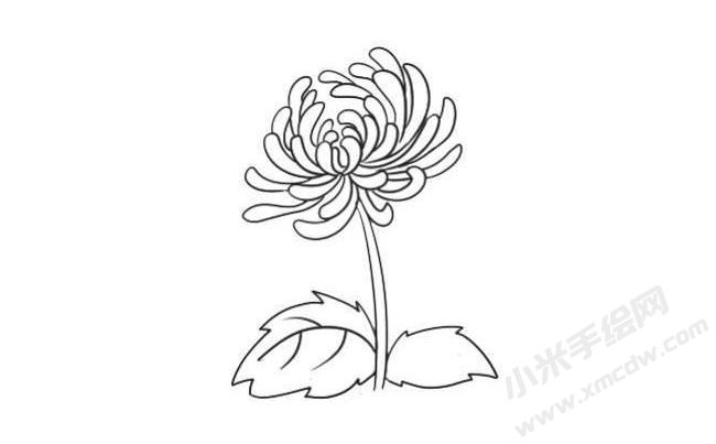 簡(jiǎn)筆畫菊花畫法步驟08.jpg
