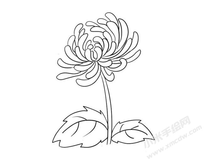 簡(jiǎn)筆畫菊花畫法步驟09.jpg