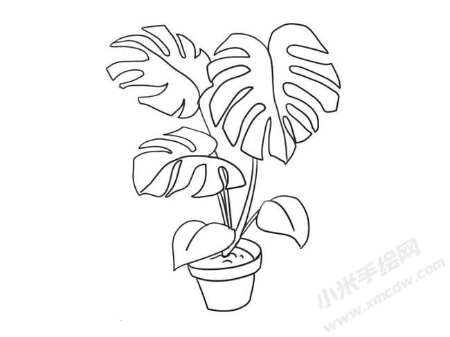 龜背竹簡筆畫法步驟09.jpg