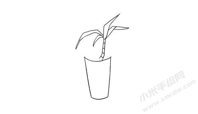 富貴竹簡(jiǎn)筆畫法步驟03.jpg