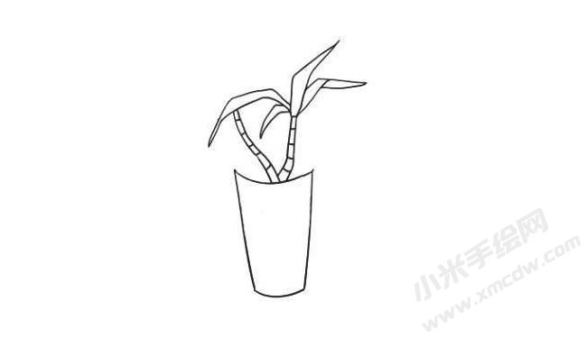 富貴竹簡(jiǎn)筆畫法步驟04.jpg
