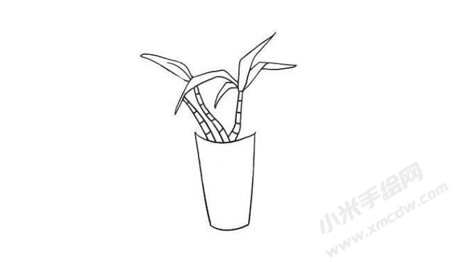 富貴竹簡(jiǎn)筆畫法步驟05.jpg
