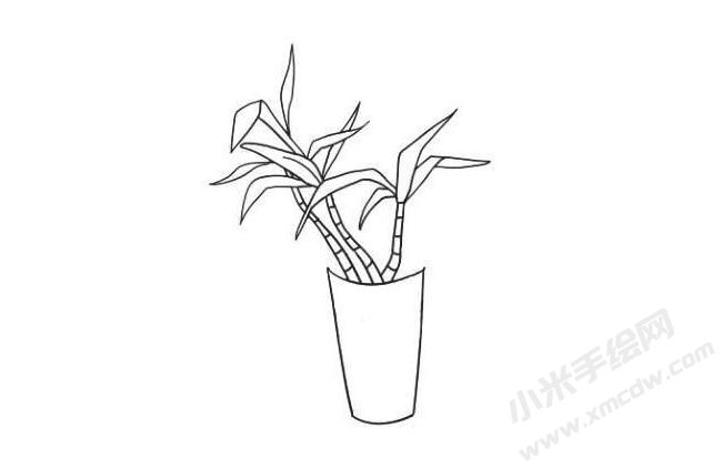 富貴竹簡(jiǎn)筆畫法步驟07.jpg