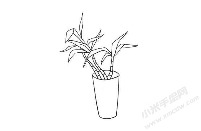 富貴竹簡(jiǎn)筆畫法步驟08.jpg