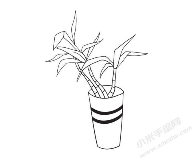 富貴竹簡(jiǎn)筆畫法步驟09.jpg