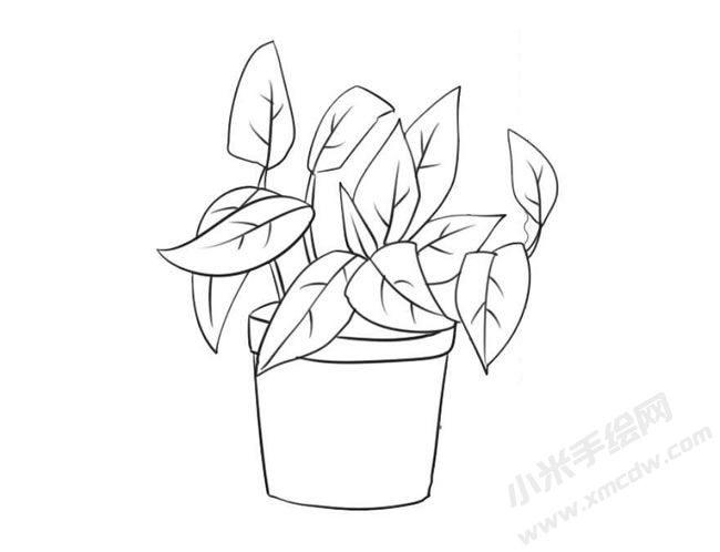 簡筆畫綠蘿畫法步驟09.jpg
