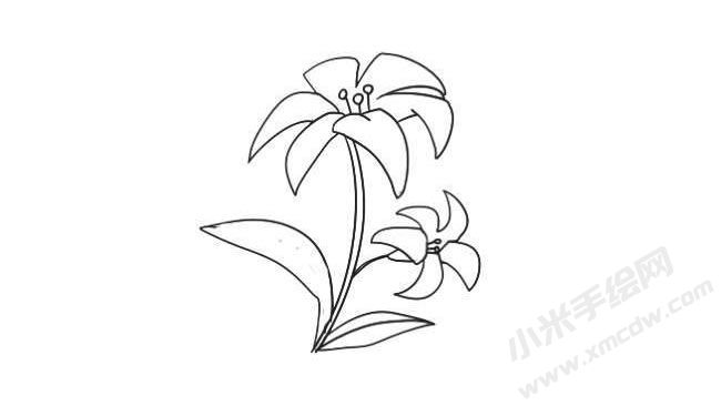 簡(jiǎn)筆畫百合畫法步驟08.jpg