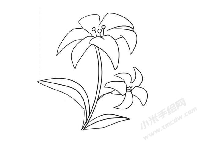 簡(jiǎn)筆畫百合畫法步驟09.jpg
