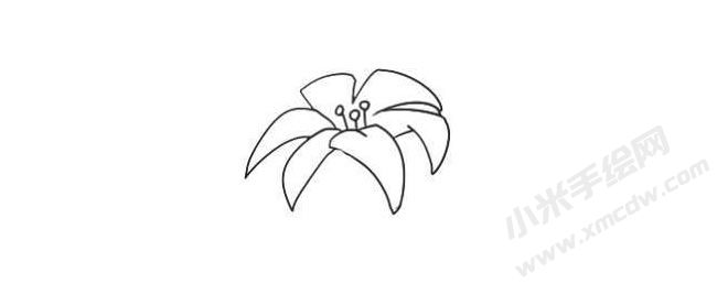 簡(jiǎn)筆畫百合畫法步驟02.jpg
