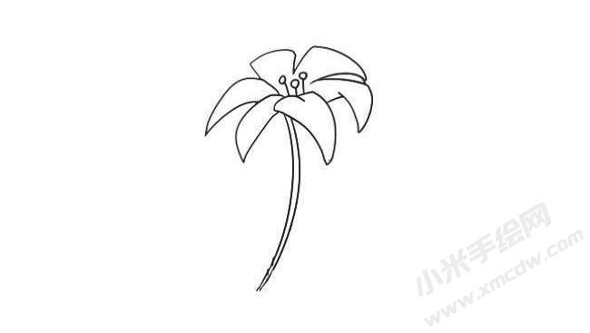 簡(jiǎn)筆畫百合畫法步驟03.jpg