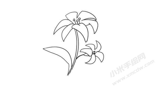 簡(jiǎn)筆畫百合畫法步驟06.jpg