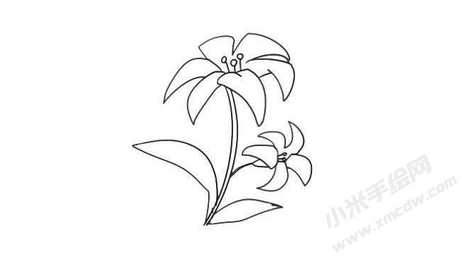 簡(jiǎn)筆畫百合畫法步驟07.jpg
