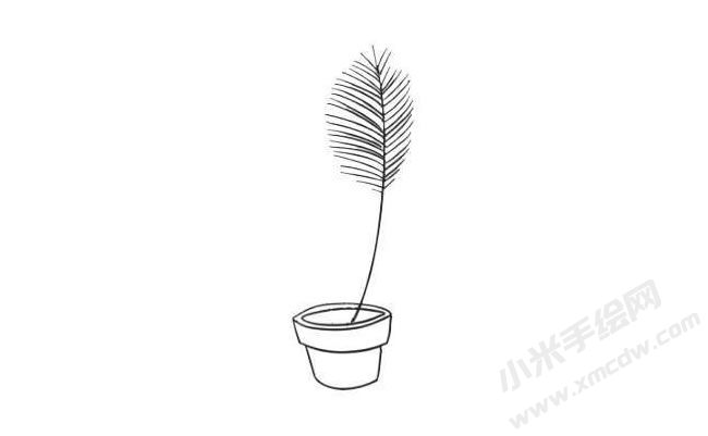 散尾葵簡(jiǎn)筆畫繪制步驟03.jpg