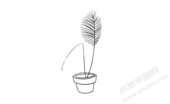 散尾葵簡(jiǎn)筆畫繪制步驟04.jpg