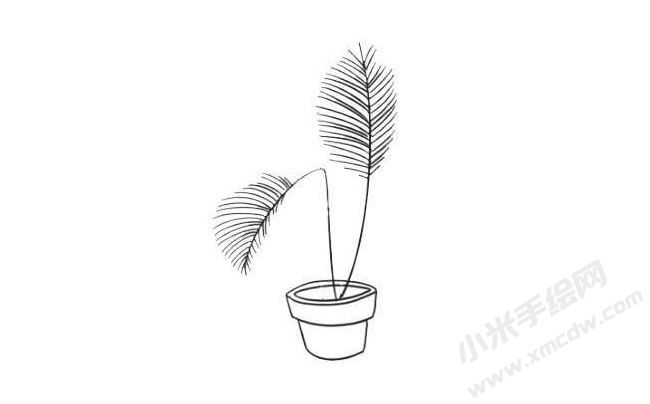 散尾葵簡(jiǎn)筆畫繪制步驟05.jpg
