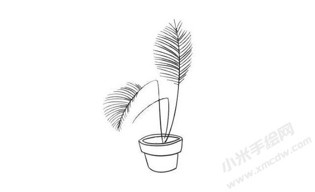 散尾葵簡(jiǎn)筆畫繪制步驟06.jpg