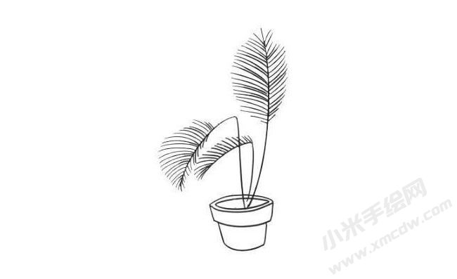 散尾葵簡(jiǎn)筆畫繪制步驟07.jpg