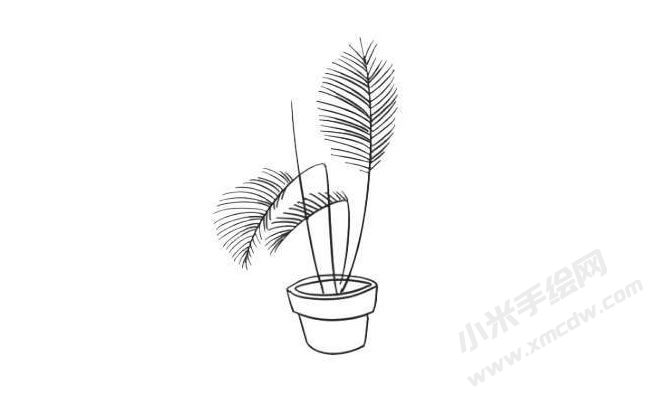 散尾葵簡(jiǎn)筆畫繪制步驟08.jpg
