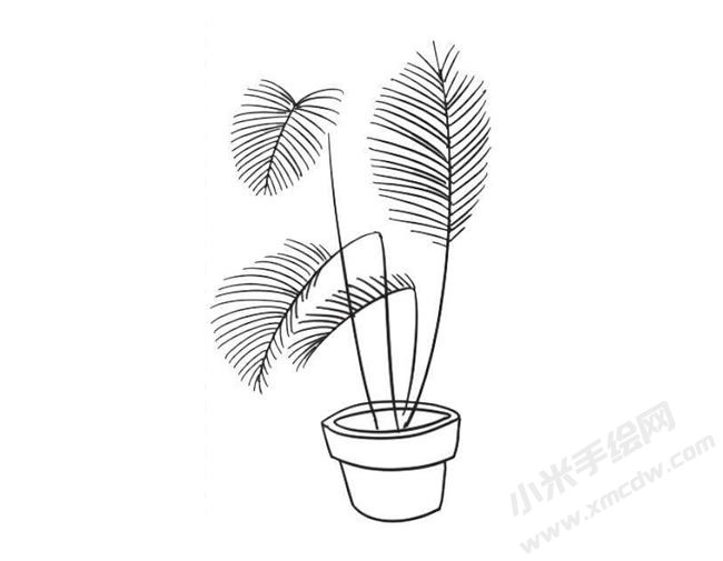 散尾葵簡(jiǎn)筆畫繪制步驟09.jpg