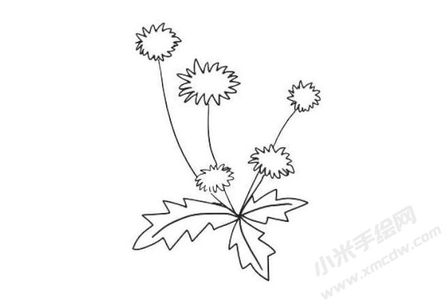 蒲公英簡(jiǎn)筆畫(huà)法步驟08.jpg