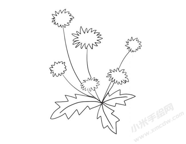 蒲公英簡(jiǎn)筆畫(huà)法步驟09.jpg