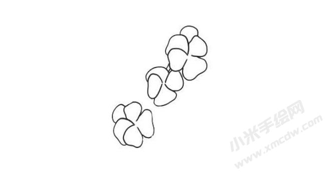 三色堇簡(jiǎn)筆畫法步驟03.jpg