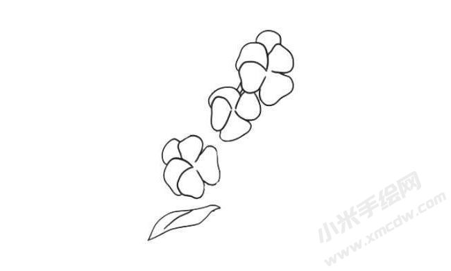 三色堇簡(jiǎn)筆畫法步驟04.jpg