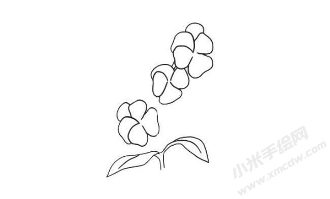 三色堇簡(jiǎn)筆畫法步驟05.jpg