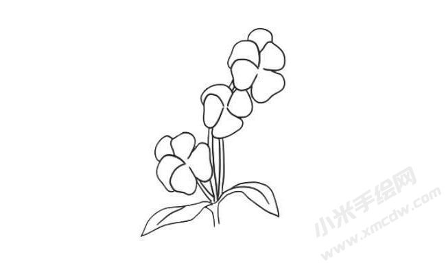 三色堇簡(jiǎn)筆畫法步驟06.jpg