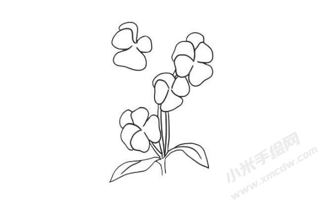 三色堇簡(jiǎn)筆畫法步驟07.jpg