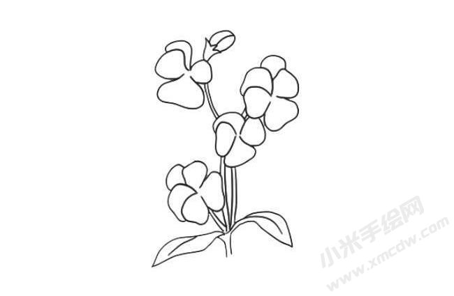 三色堇簡(jiǎn)筆畫法步驟08.jpg