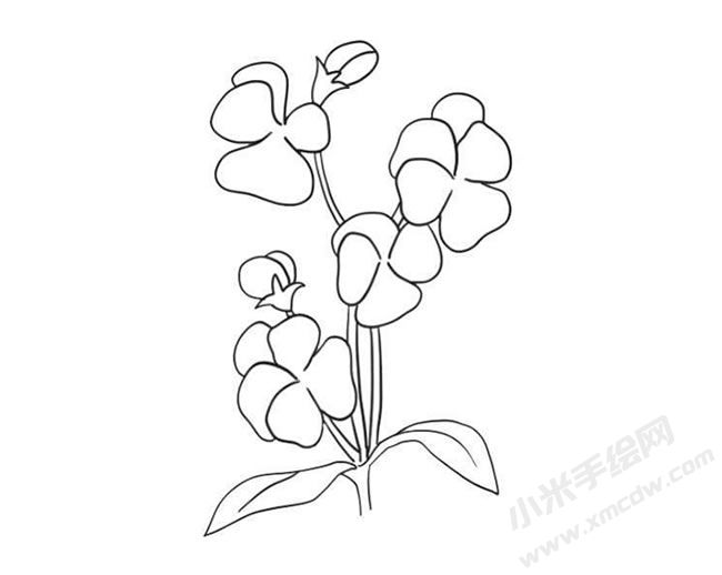 三色堇簡(jiǎn)筆畫法步驟09.jpg