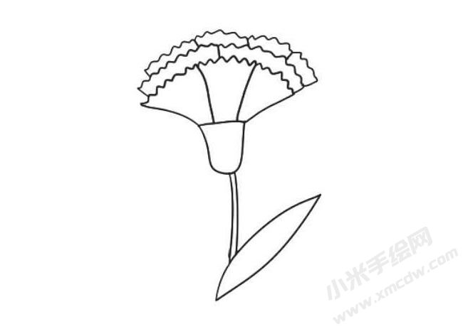 康乃馨簡(jiǎn)筆畫法步驟07.jpg